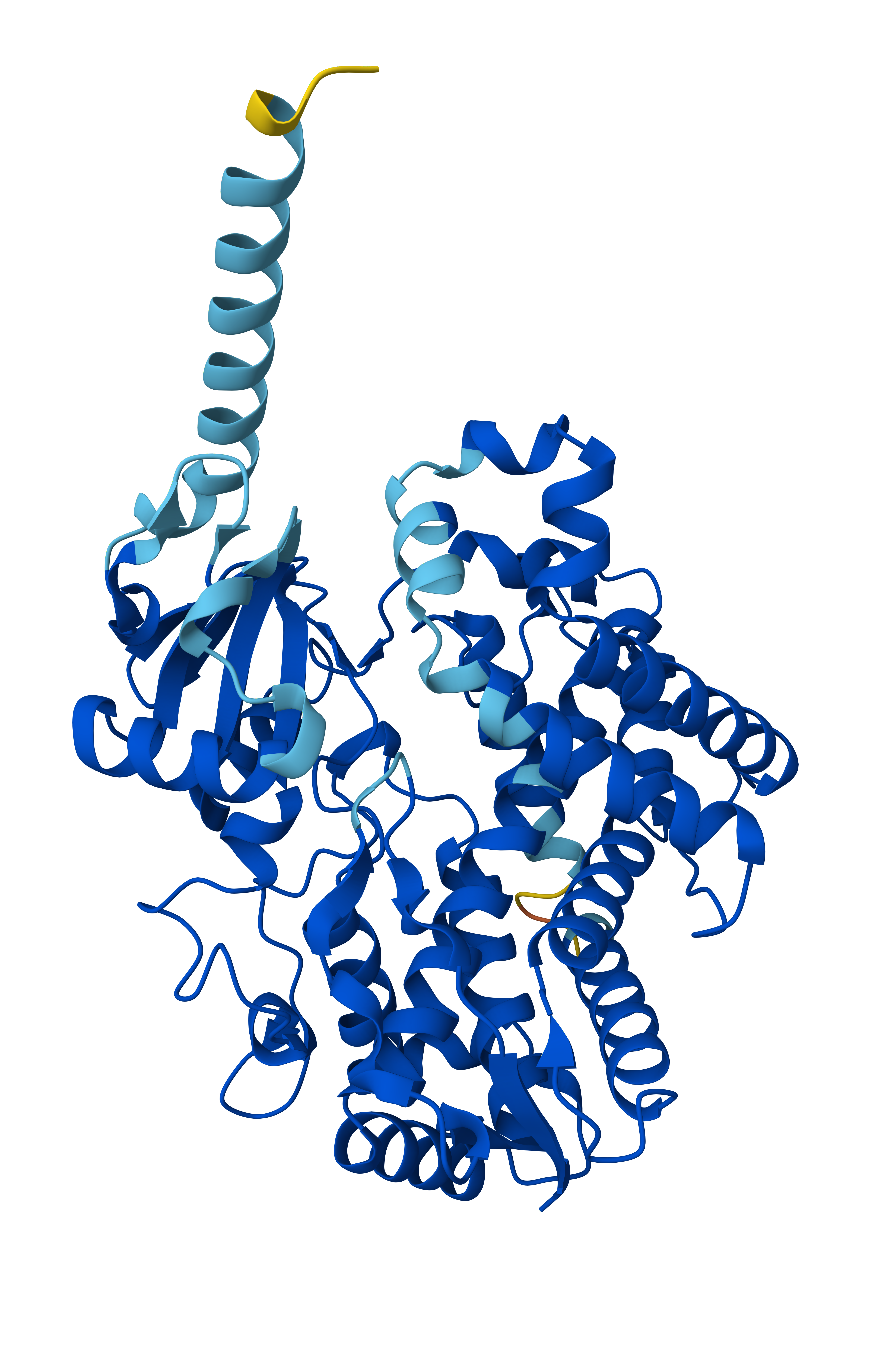 CYP2D6 Enzyme Structure